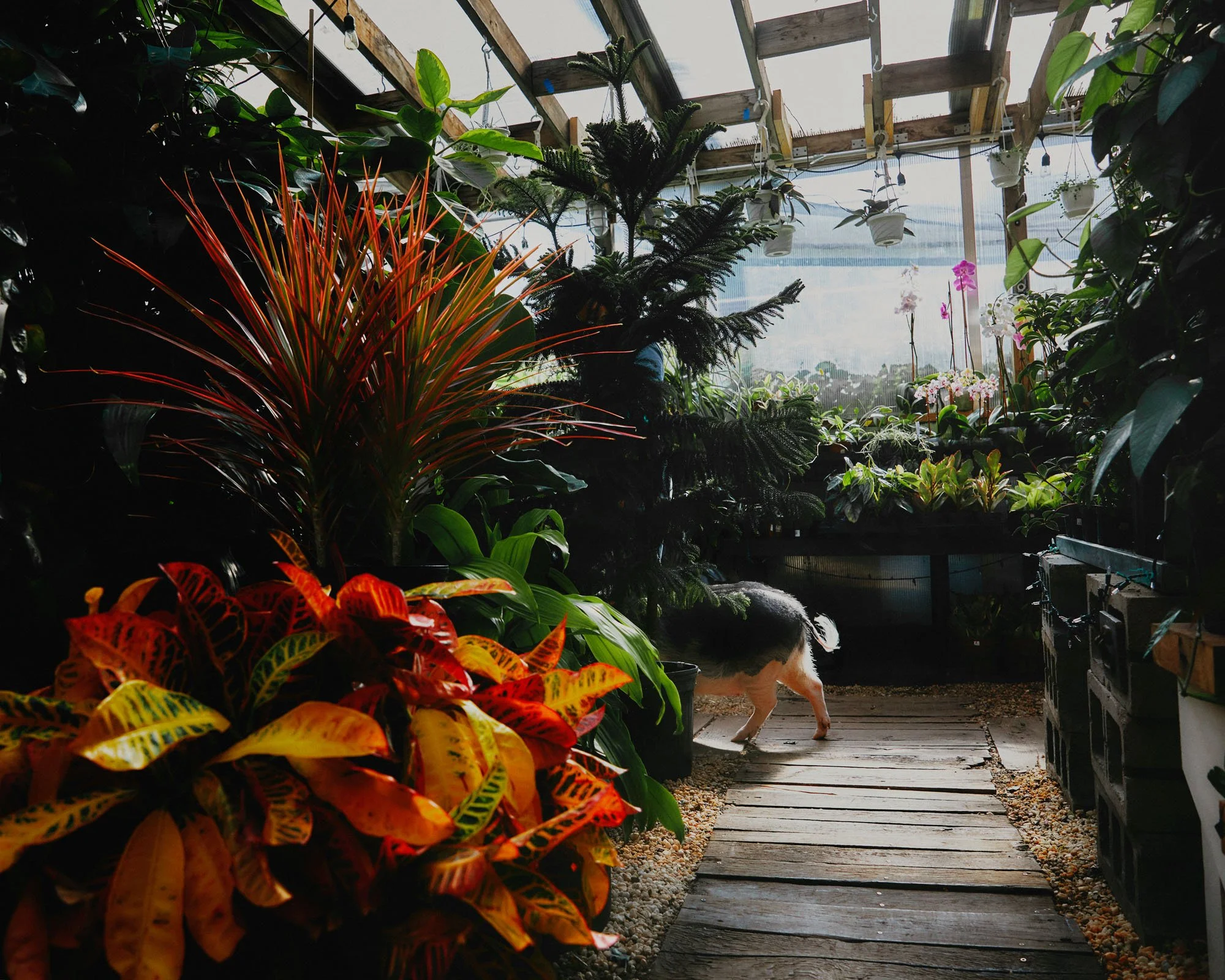 BeyondtheBodegaCat_04-Hardware_696 1.jpg