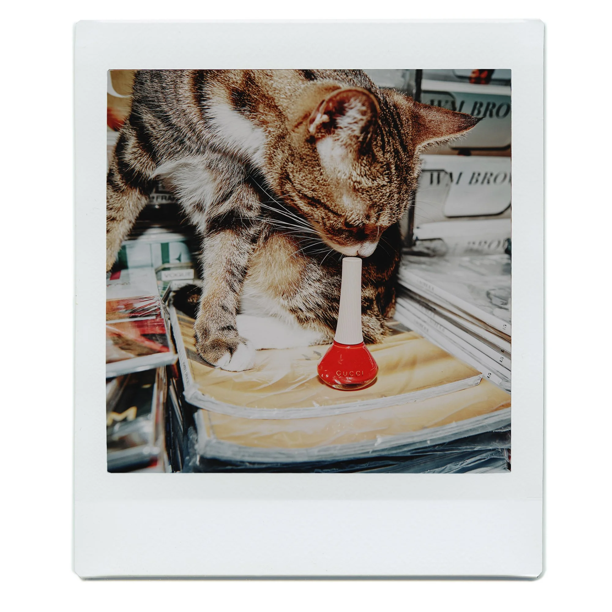 240131_ITG_Cherry_084_POLAROID.jpg