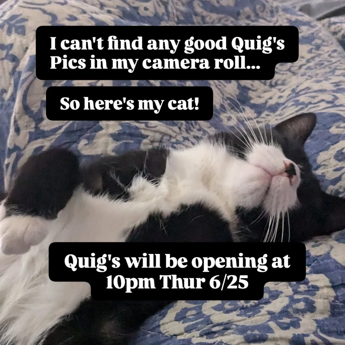 @reverend_keith is working on a super secret project so he can't open the bar until 10pm

It'll be a quiet night at the theater - no @franklins.key or studio shows. So if you've been longing for a quiet Quig's night - tonight is the night!

#memberso