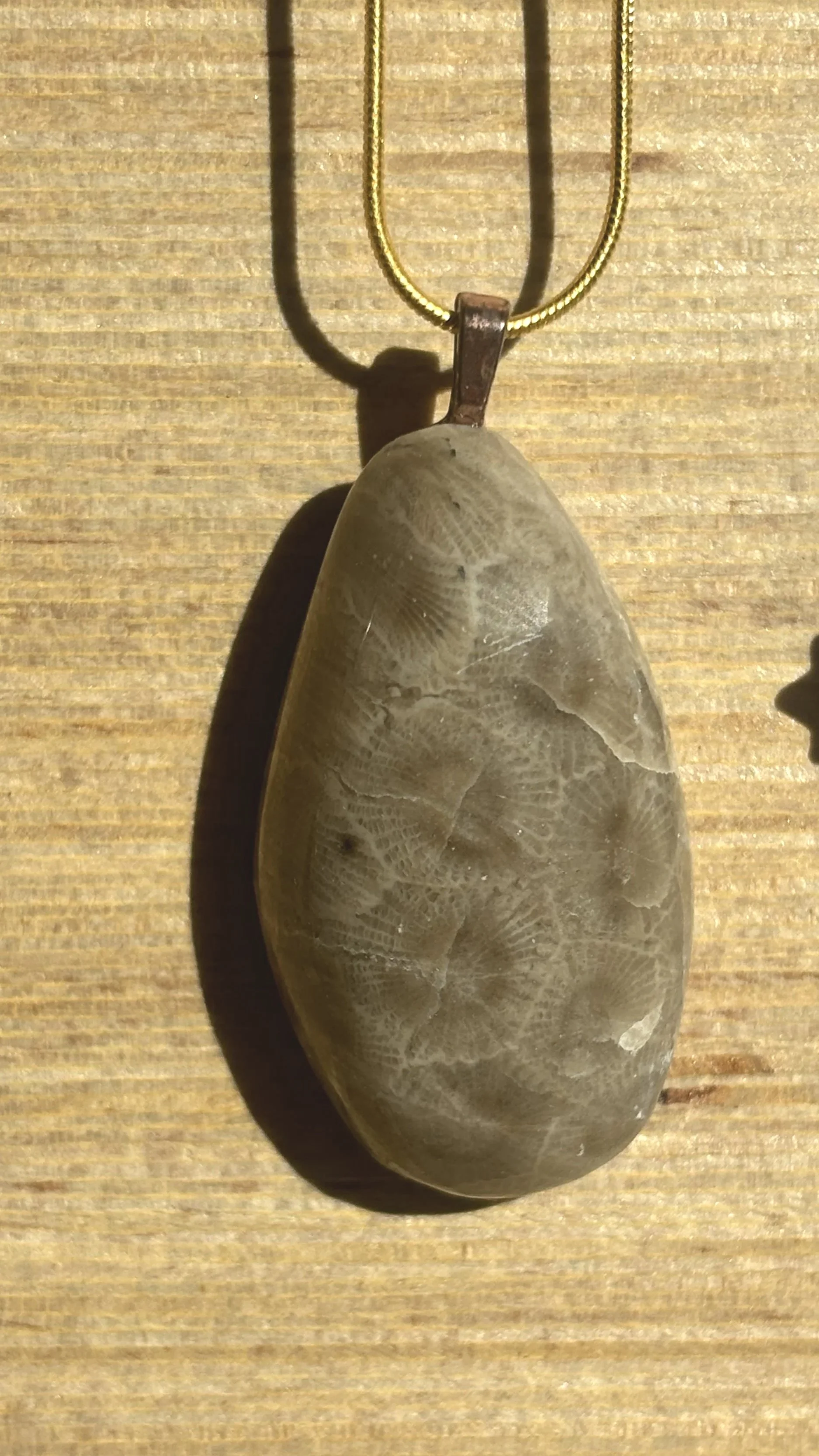 Chunky Polished Petoskey Stone Necklace with Gold Chain