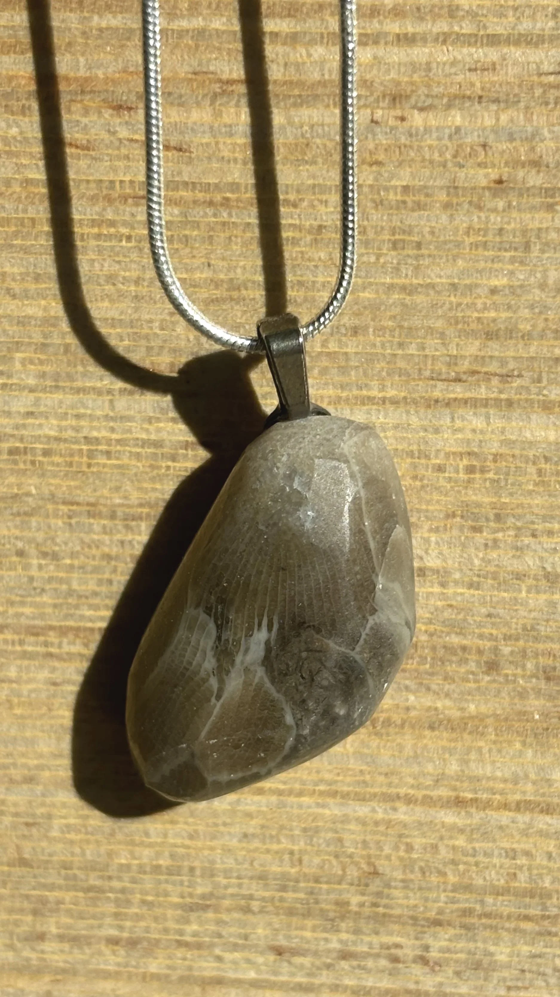 Elegant Petoskey Stone Pendant on Silver Chain