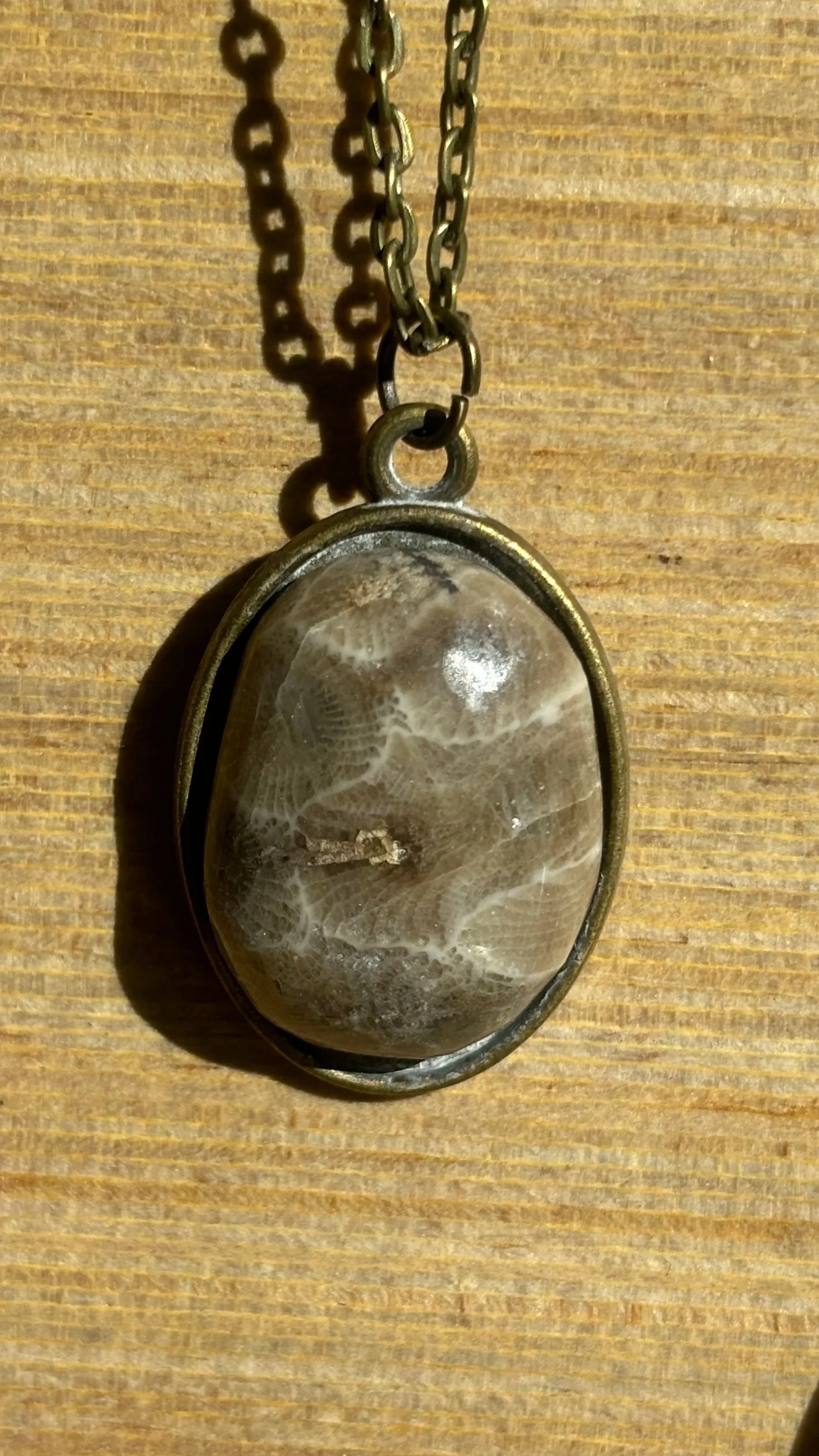 Oval Bronze Polished Petoskey Stone Necklace