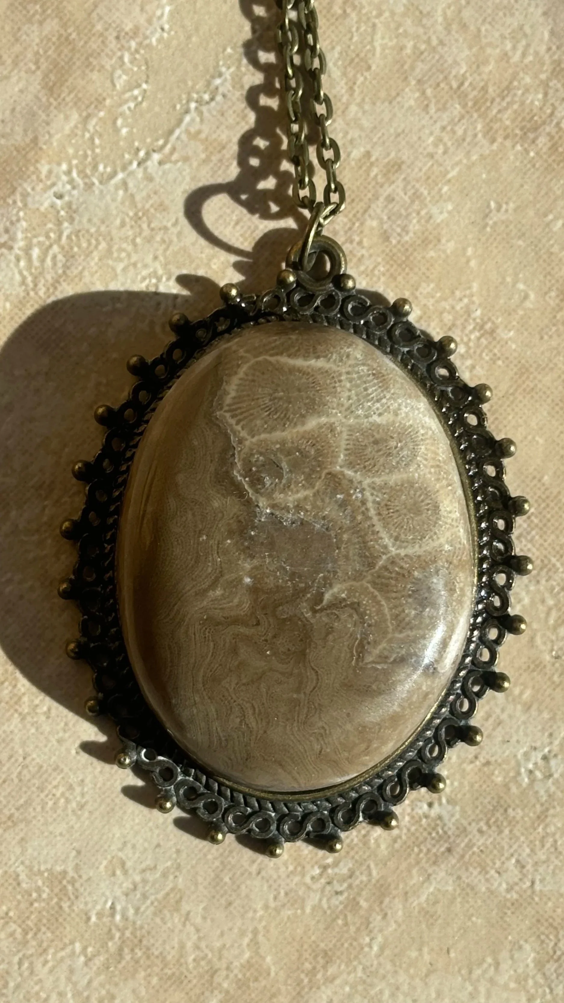 Rare Petoskey Stone Pendant in Bronze