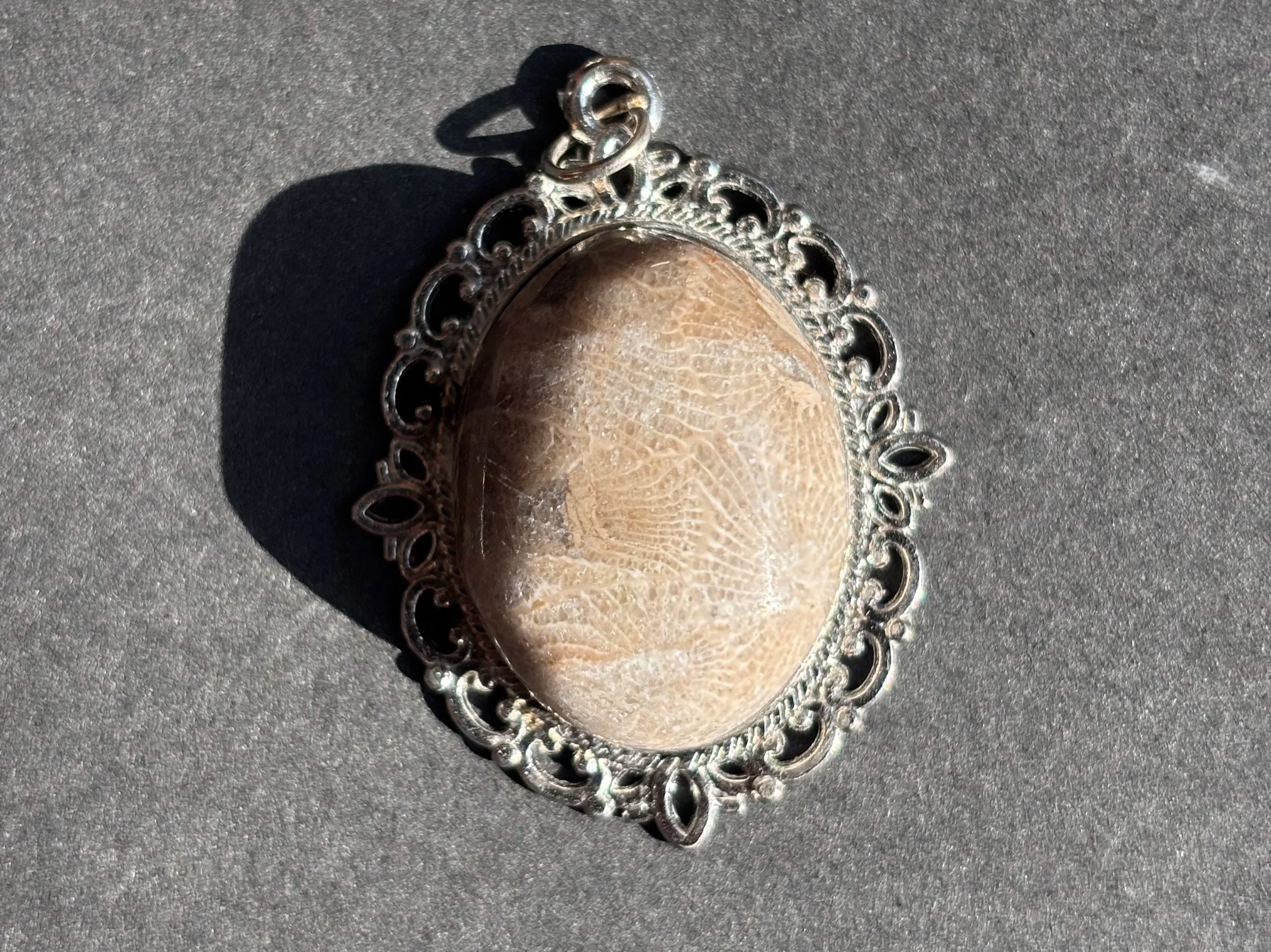 Oval Polished Petoskey Stone Pendant in Silver Bezel