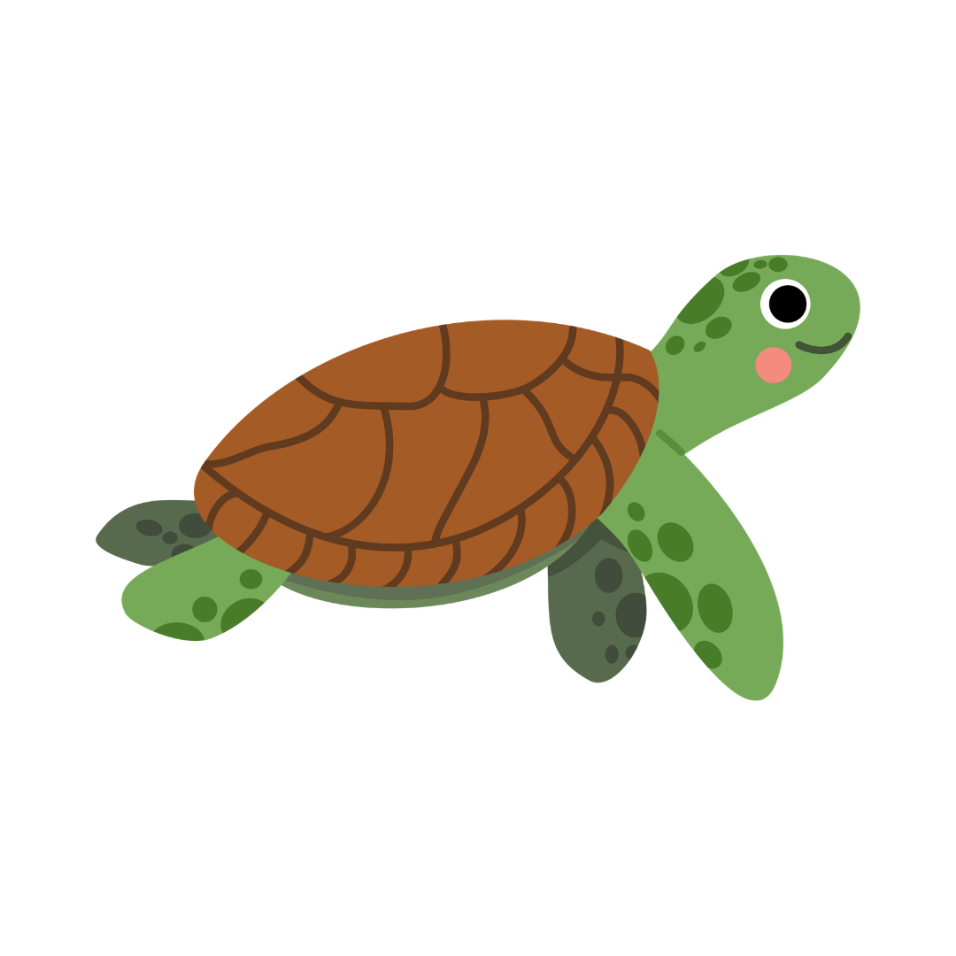 Cartoon turtle with green head and flippers, brown shell, pink cheeks, and smiling face.