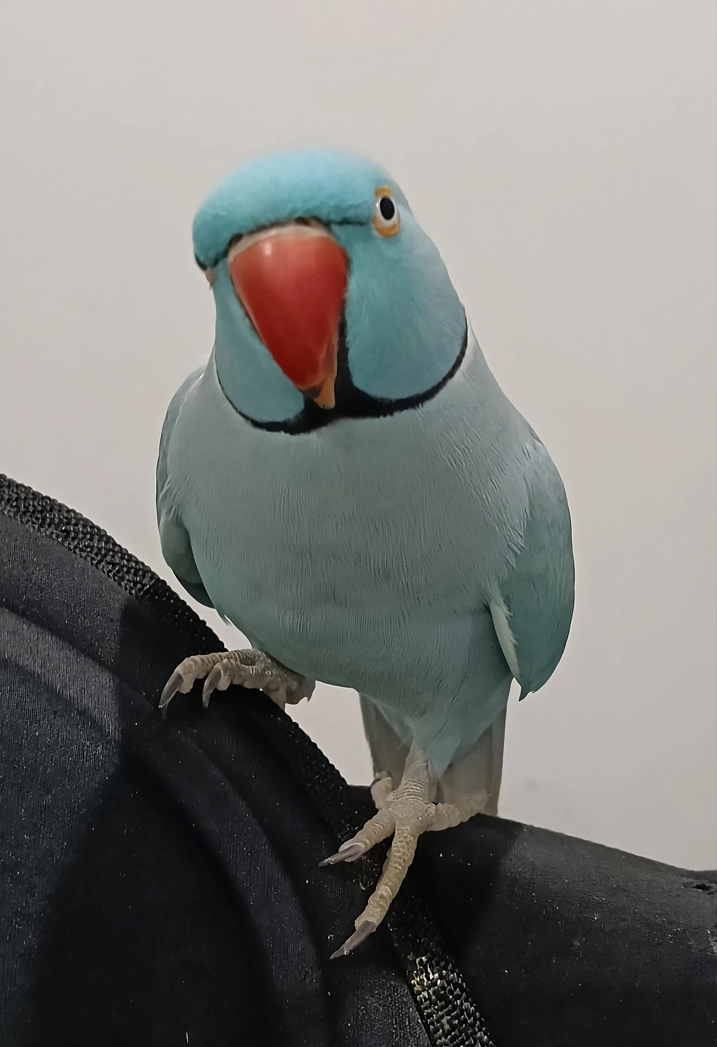 upscalemedia-transformed (2).jpeg