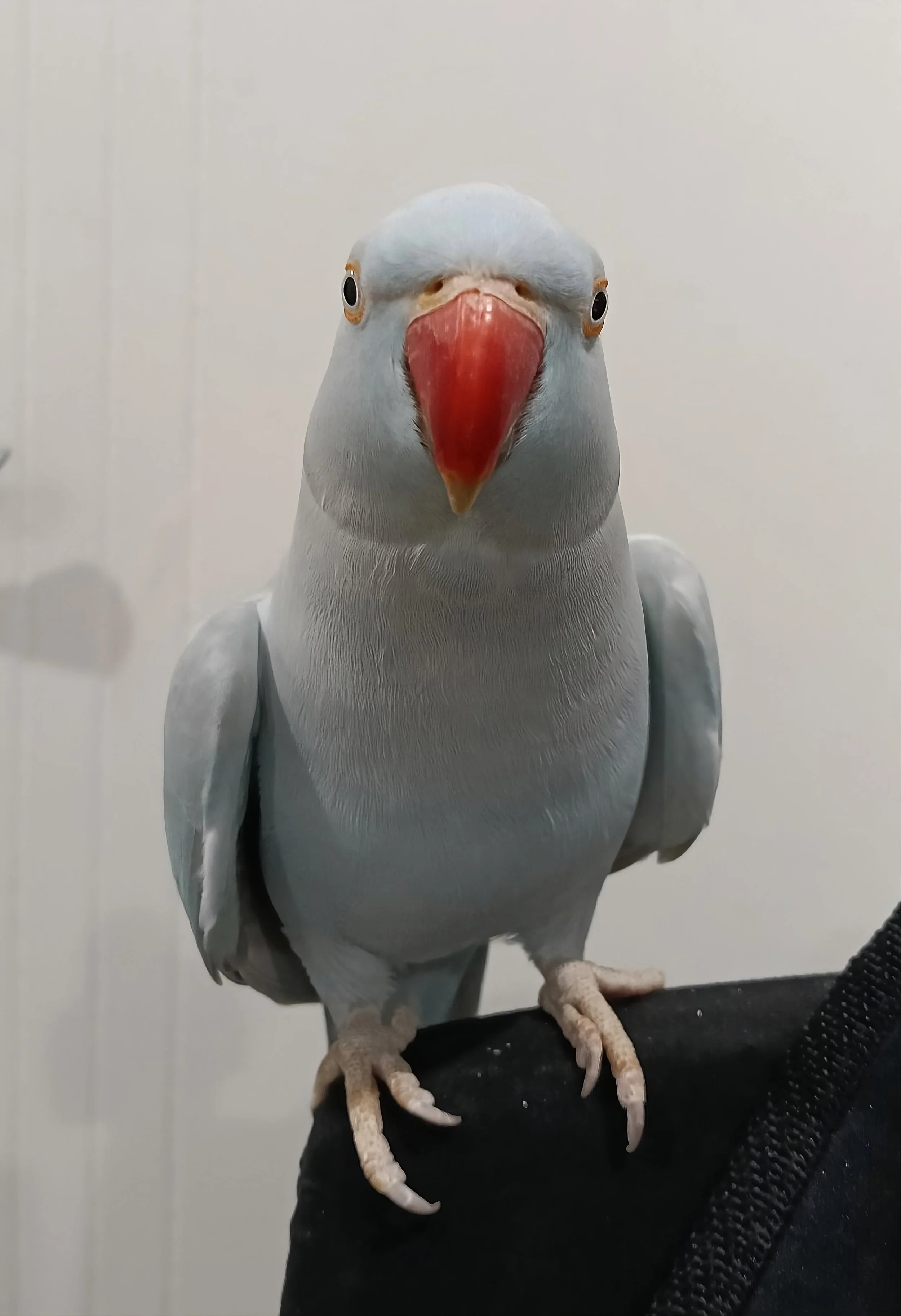 upscalemedia-transformed (1).jpeg