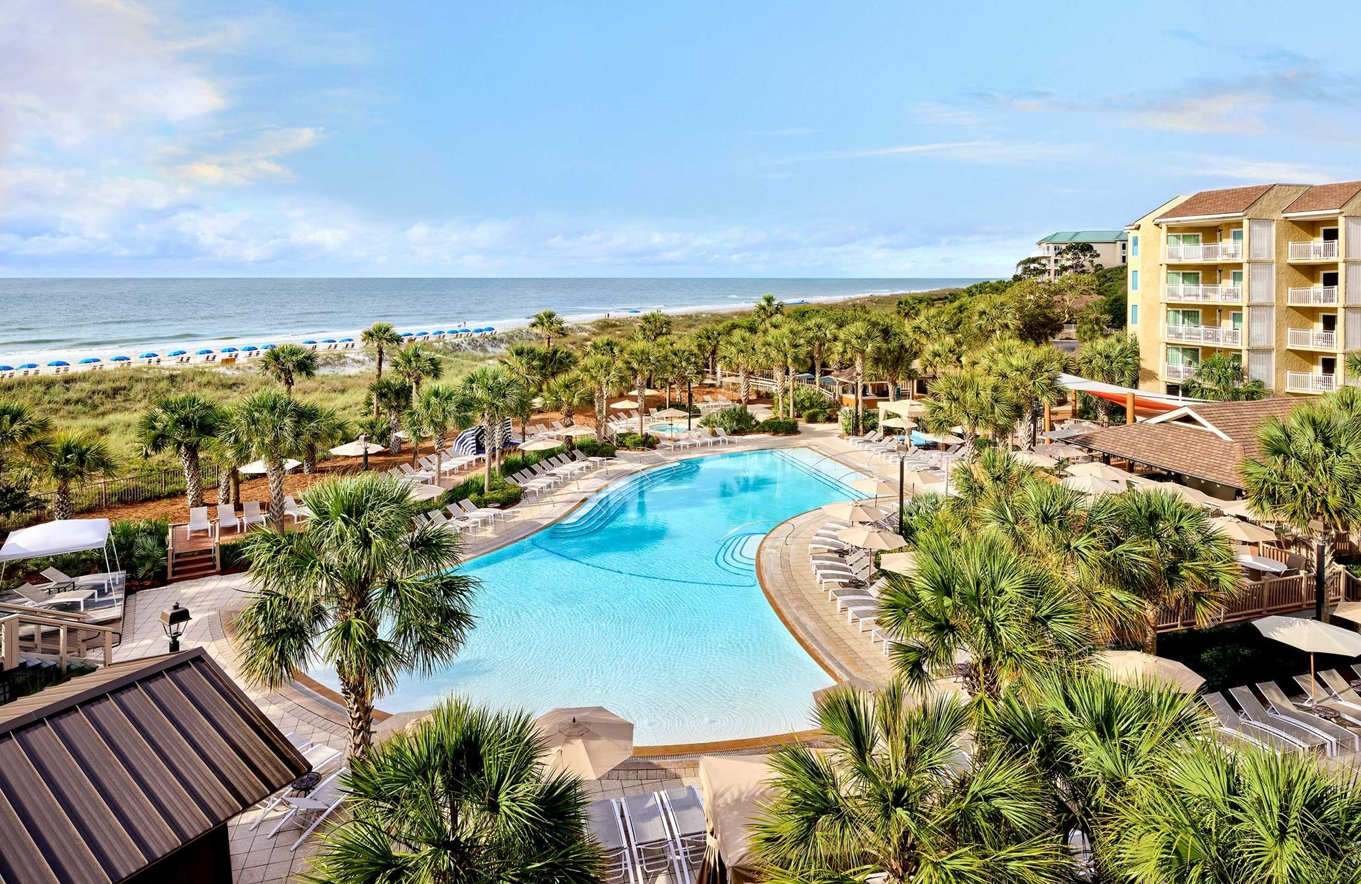A resort pool area with palm trees, lounge chairs, umbrellas, and view of the beach and ocean in the background.