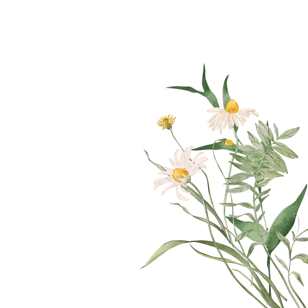 Watercolor illustration of a small bouquet of wildflowers, including daisies and other green foliage.