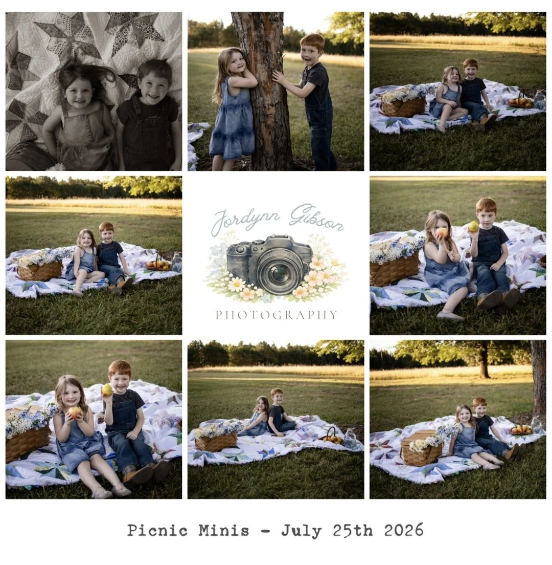 Picnic Minis - July 25th 2026