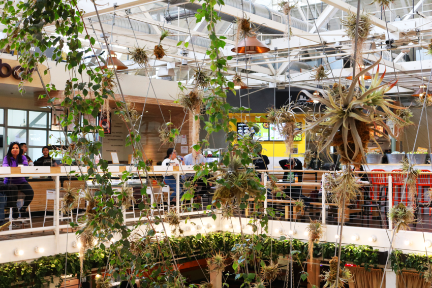 The Anaheim Packing What? A Look Into the Food, Ambience and History