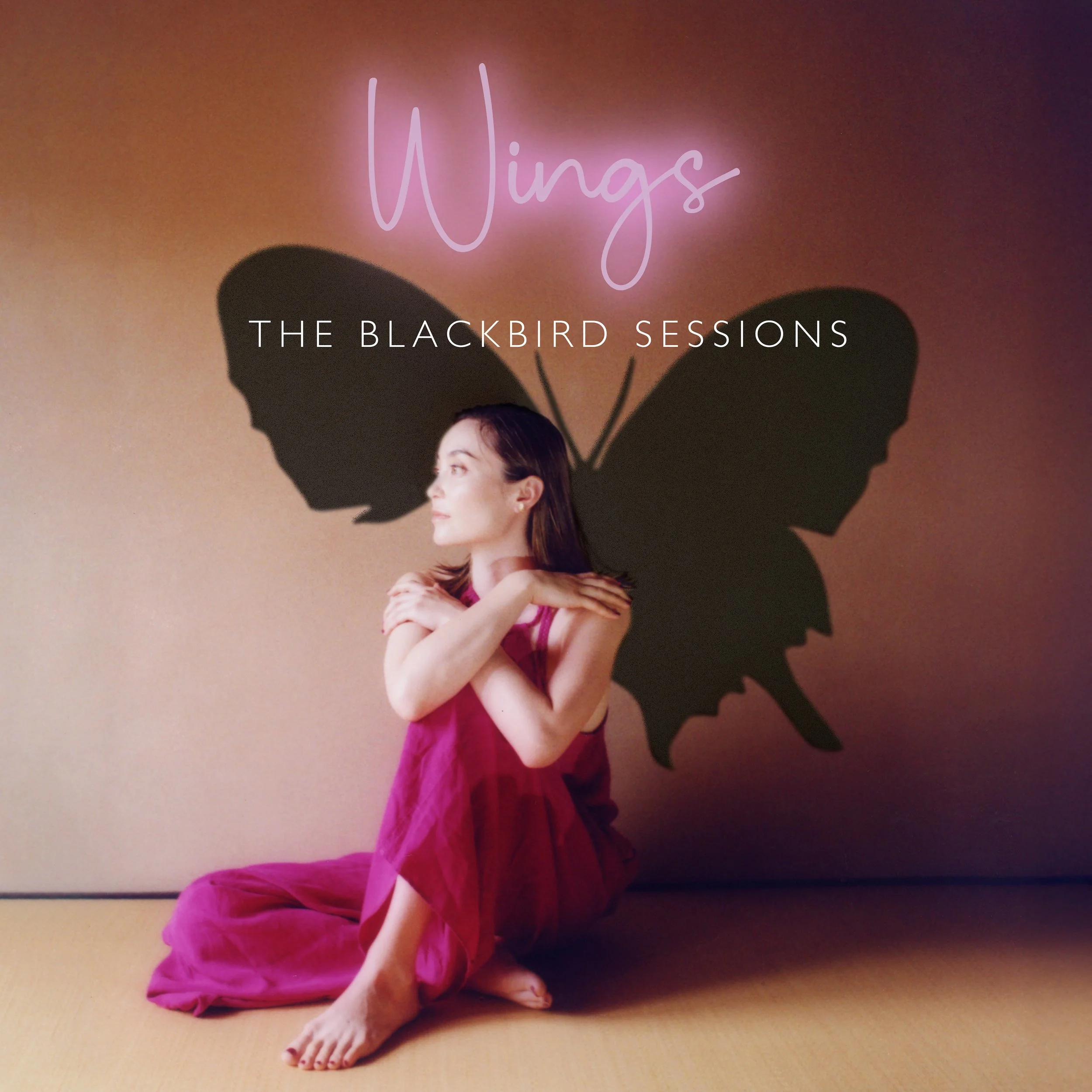 Wings: The Blackbird Sessions