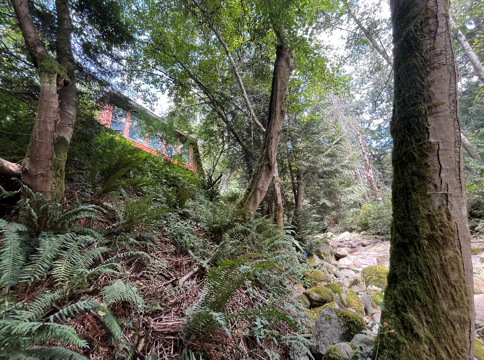 Building or Renovating on a North Shore Hillside? Here's When You'll Need a Geotechnical Report