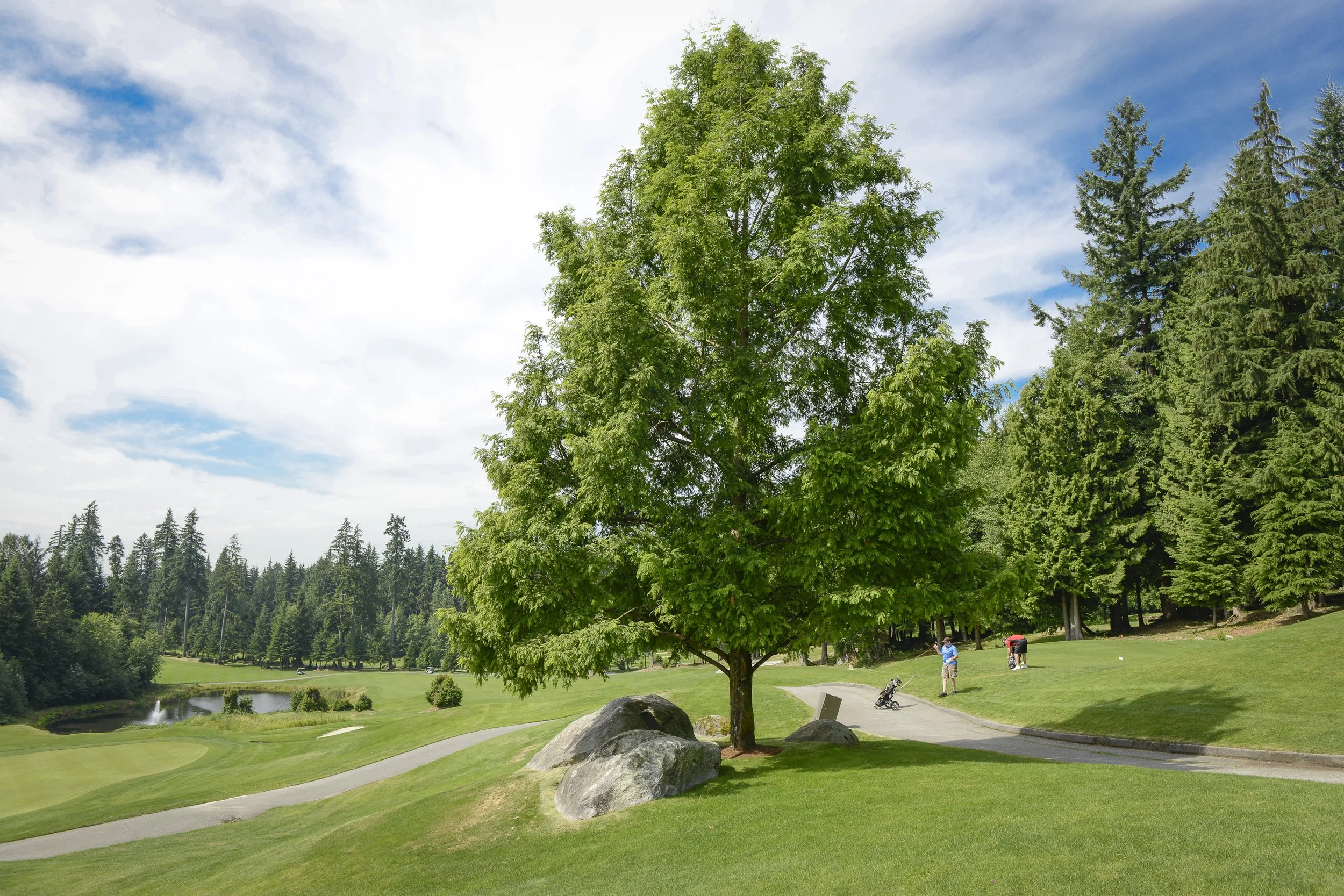 Northlands Golf Course