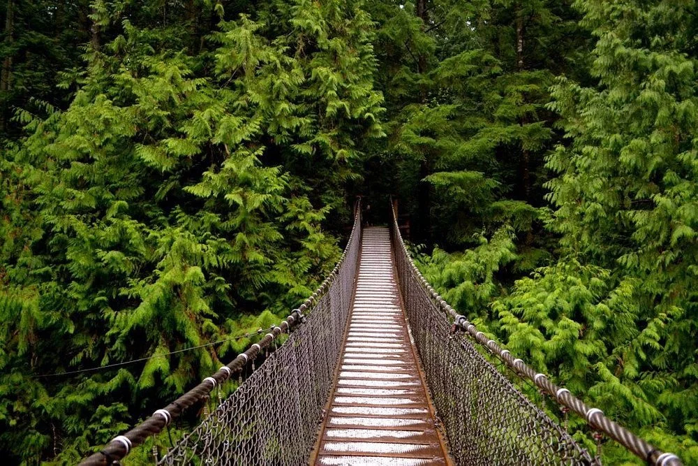 Lynn Canyon Suspension Bridge in Lynn Valley