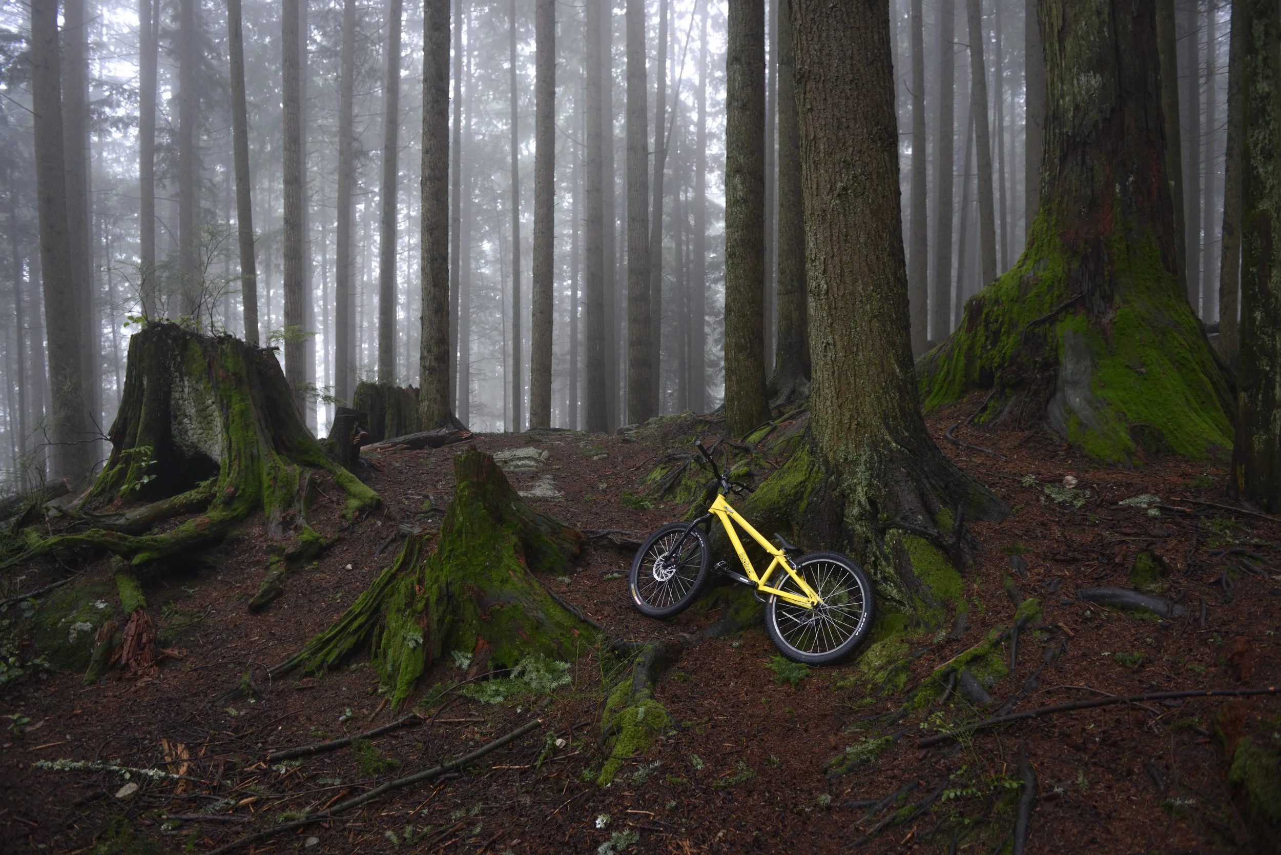 Mountain Biking in Lynn Valley and Mt Fromme