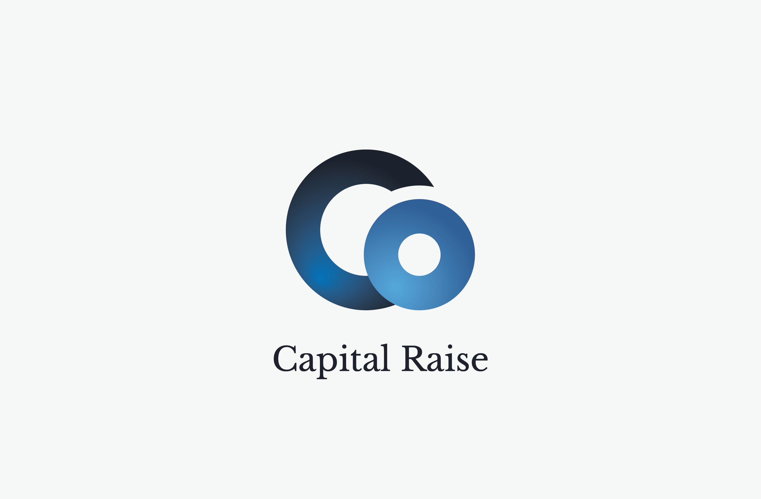Capital Raise: Successful $5.3 Million Institutional Placement