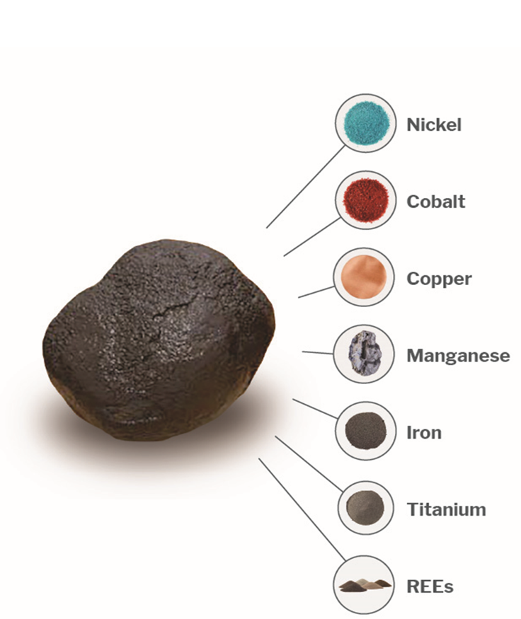 What are Polymetallic Nodules?