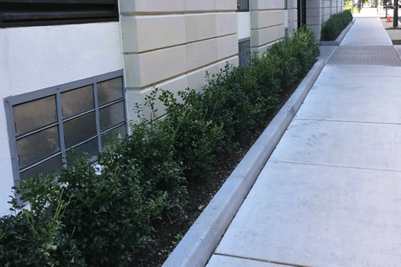 Dual-function flood vents installed at ground-level wall for code-compliant flood mitigation in commercial facility