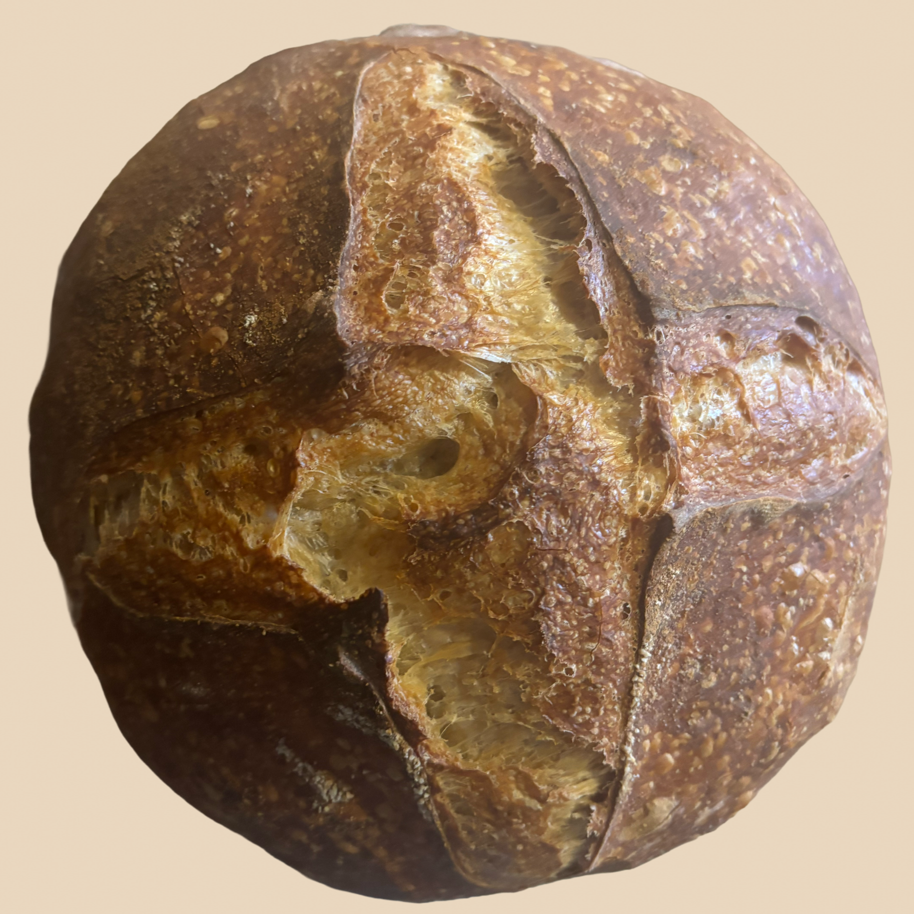 Country Sourdough Loaf