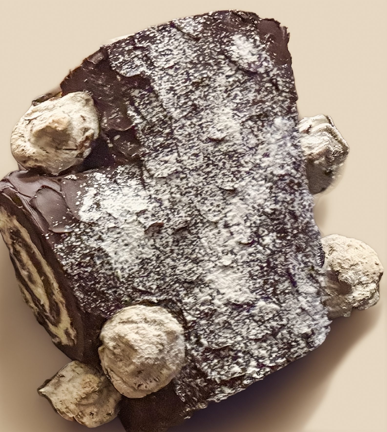 Log cake with Ganache frosting, vanilla bean mascarpone whipped cream filling, rich chocolate sponge cake. Topped with mushroom shaped meringue cookies. 