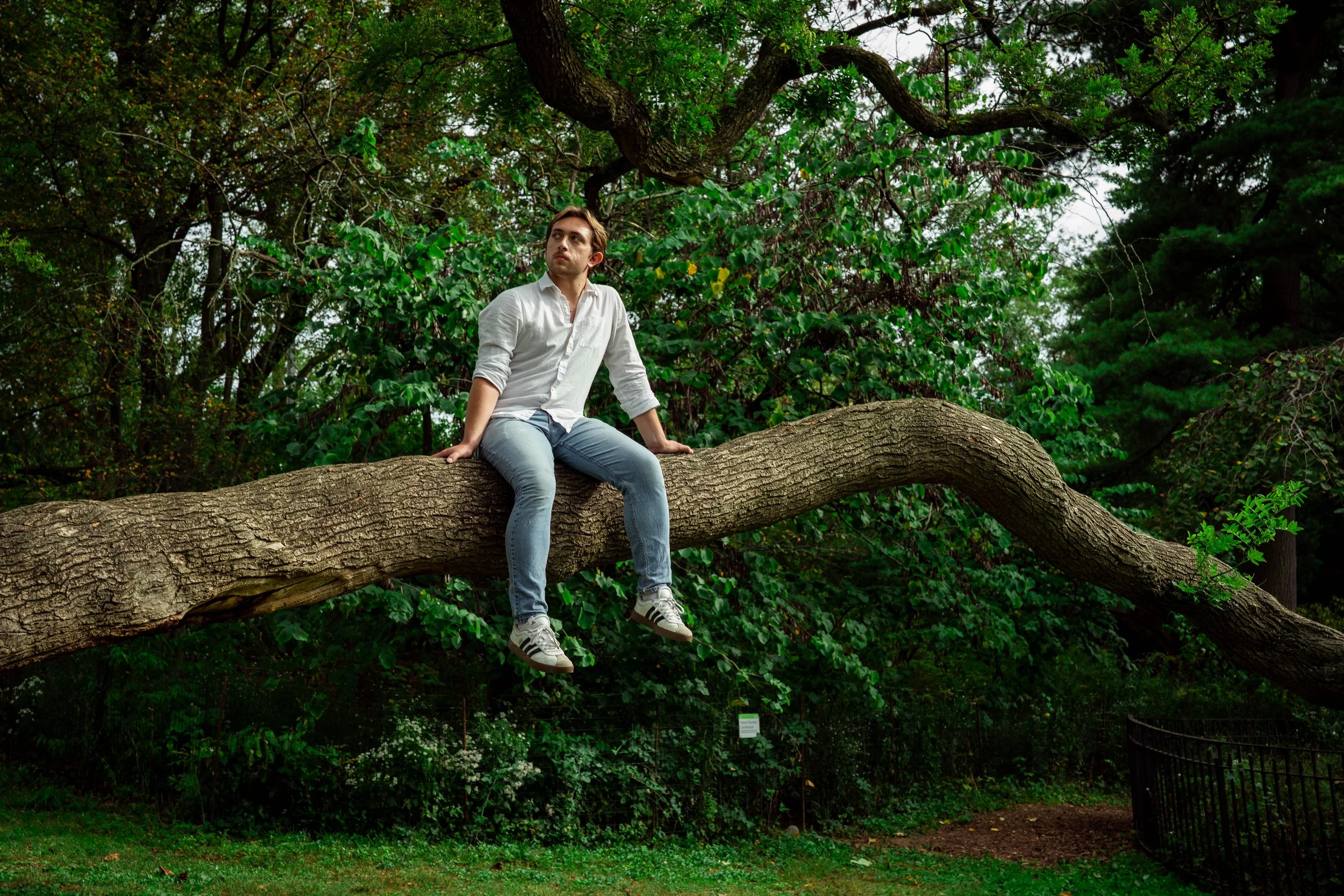 A man sitting on a large horizontal tree branch in a lush green forest, looking contemplative.