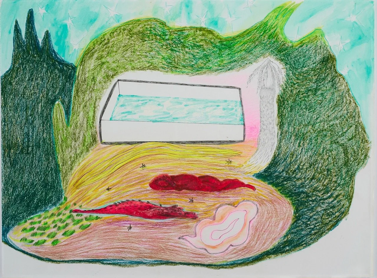  Descanso en la montaña , 2024 
Acrílico y crayón sobre papel 
60 x 45 cm
