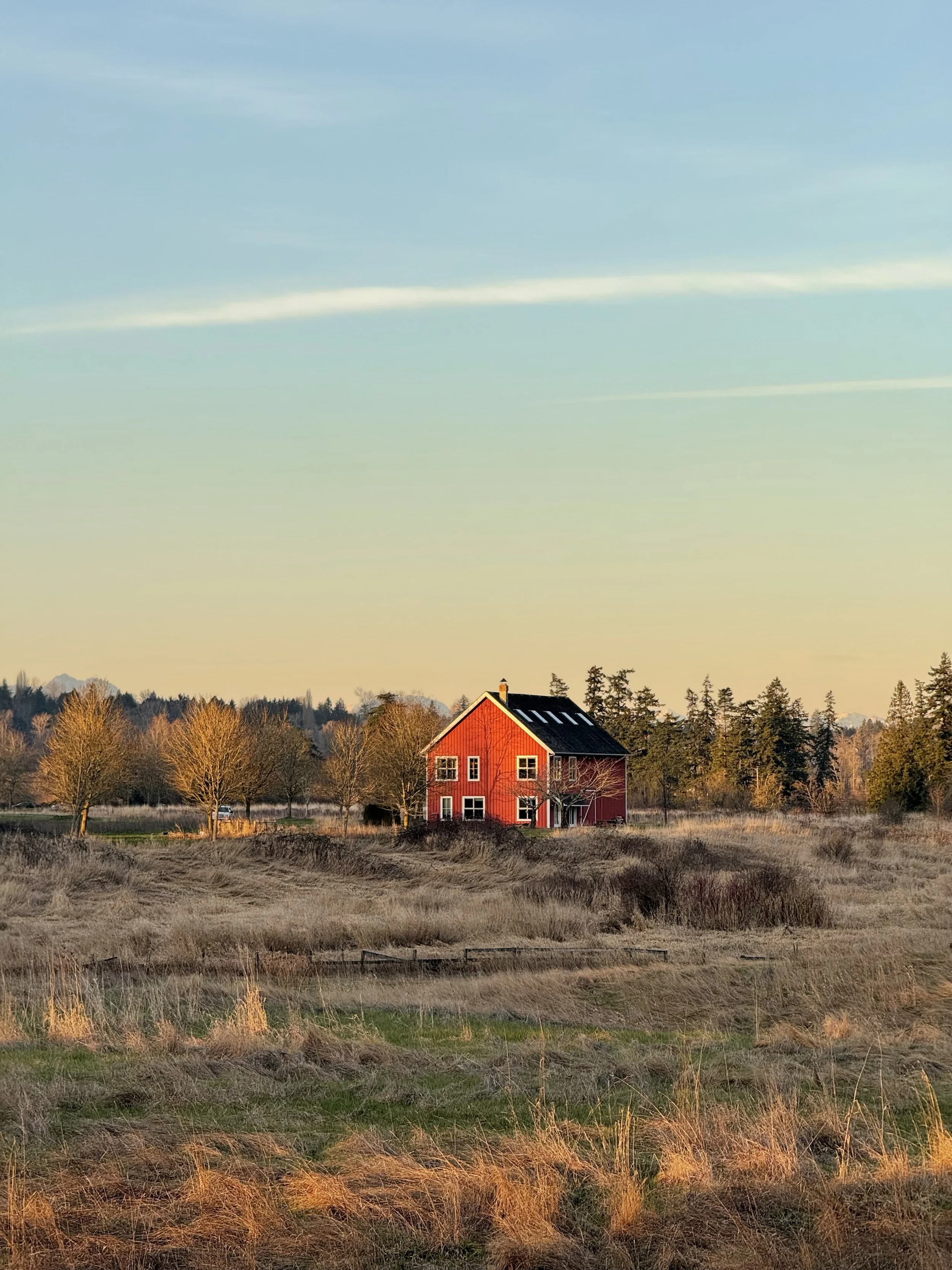 A red house with a black roof standing alone in an open field with trees in the background during sunset.