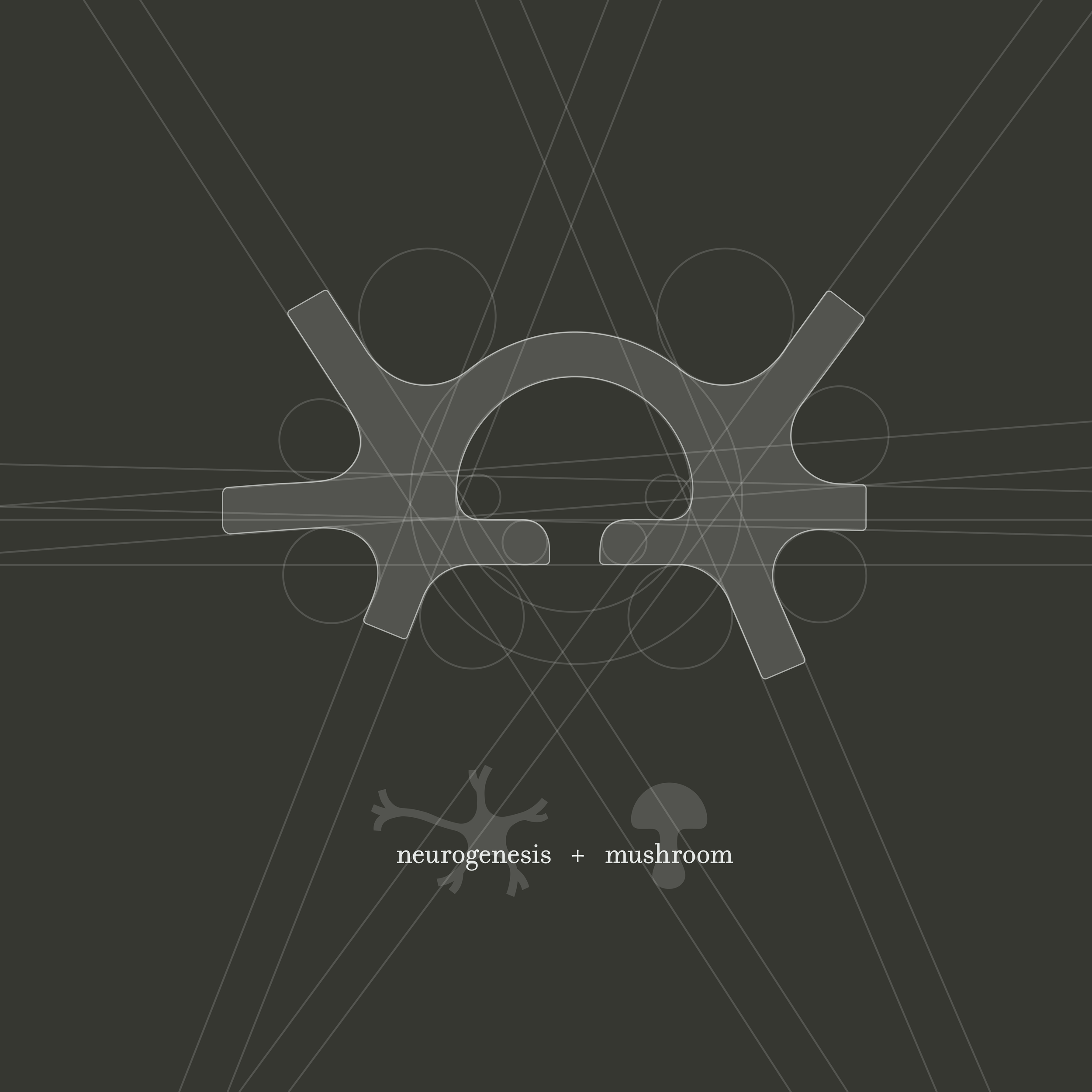 Diagram showing interconnected lines and circles labeled 'neurogenesis + mushroom' on a dark background.