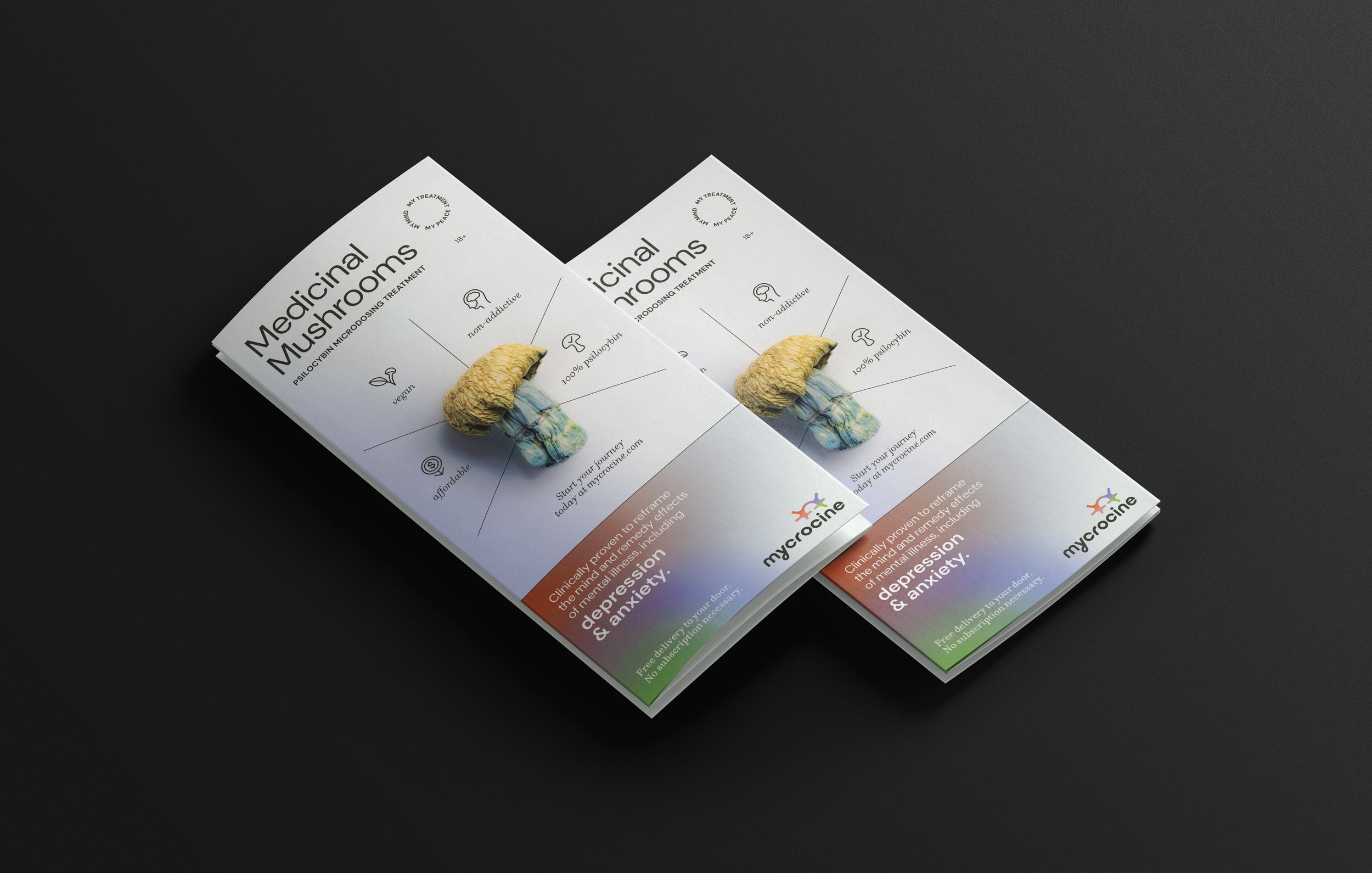 Two informational pamphlets about medicinal mushrooms placed on a black surface, each with a small textured mushroom figurine on top.