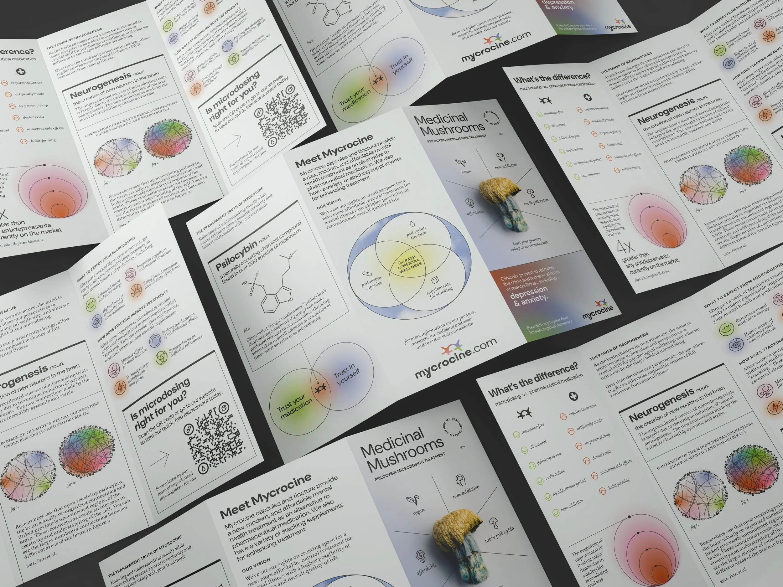 A collection of informational flyers about medical mushrooms and neurogenesis, with colorful diagrams, QR codes, and bullet points, laid out on a flat surface.