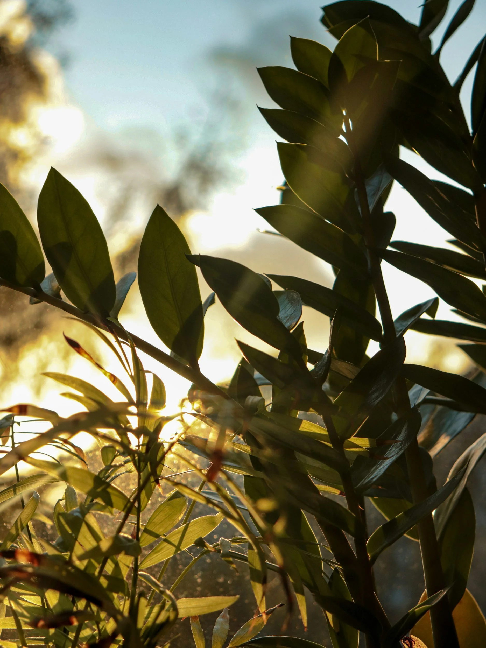 Peaceful, Not Perfect – How to Recover from the Tyranny of Perfectionism