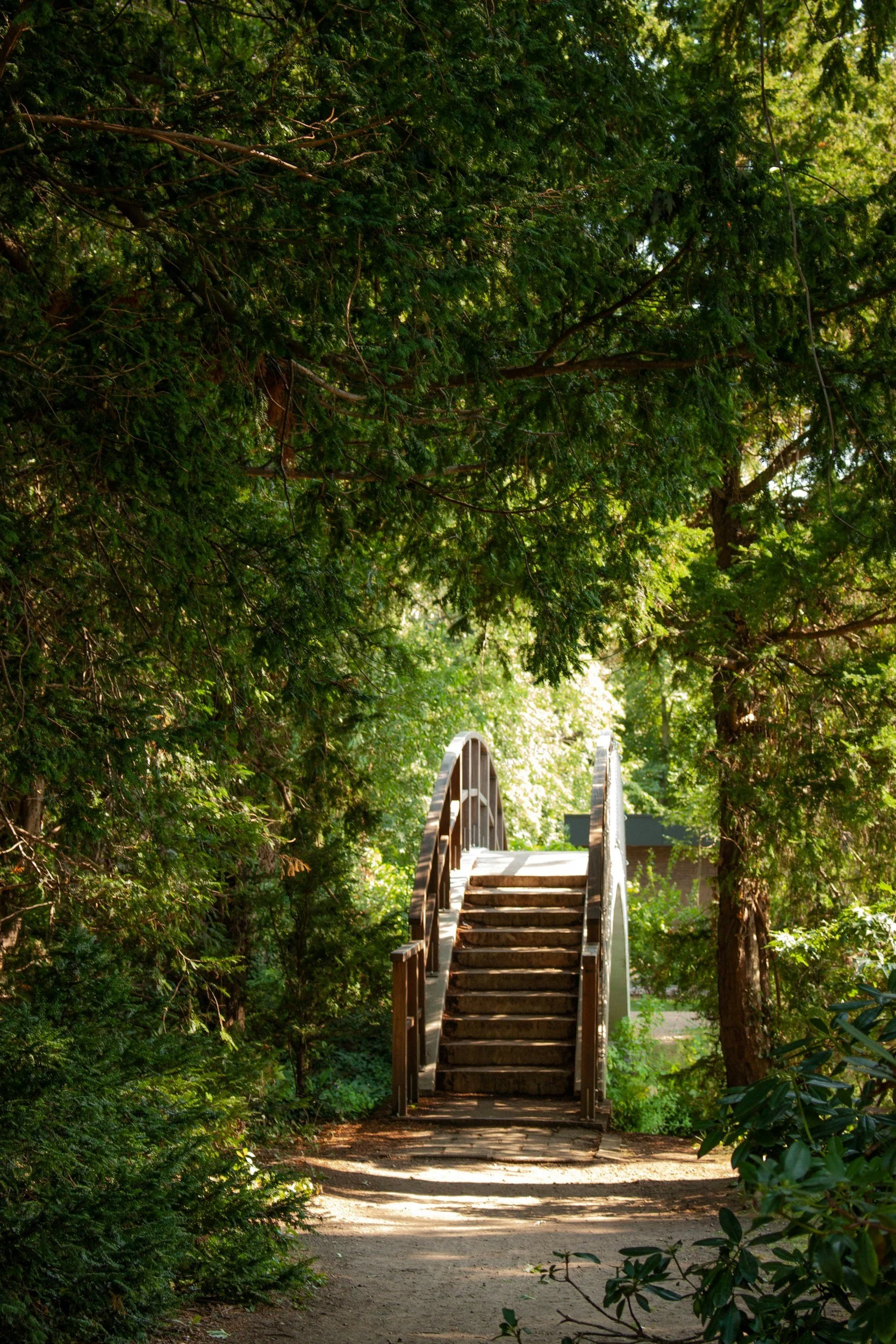 A pathway leading to a small arched wooden bridge surrounded by dense green foliage