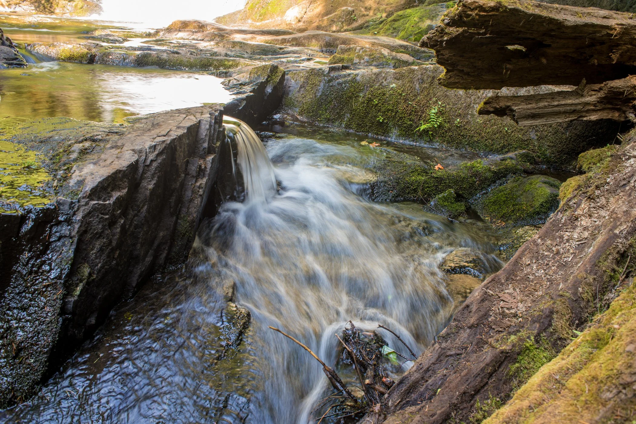A small waterfall flowing over moss-covered rocks in a natural stream surrounded by dirt and greenery.