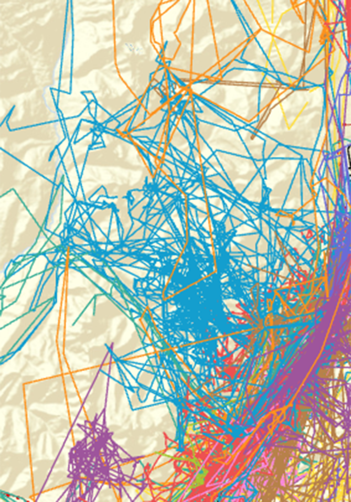 Abstract colorful scribbles on a textured background. An illustrated representation of animal migration patterns within a portion of the  Corbin Road Lands.