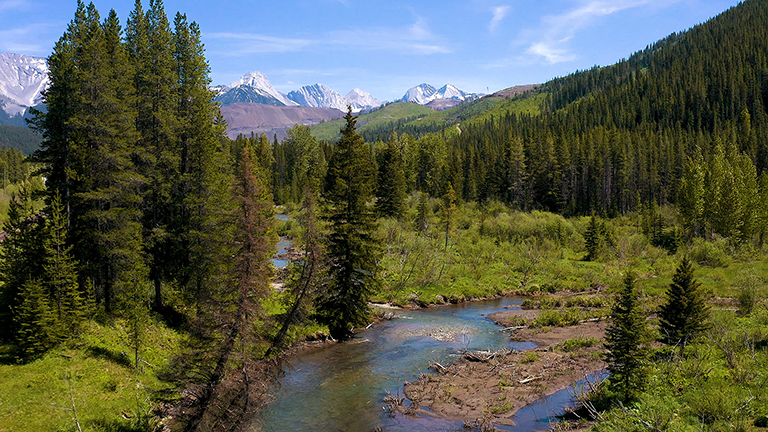 Corbin Road Lands mountain landscape featuring a rushing river, dense evergreen forest, and snow-capped peaks in the background under a partly cloudy sky. In British Columbia.