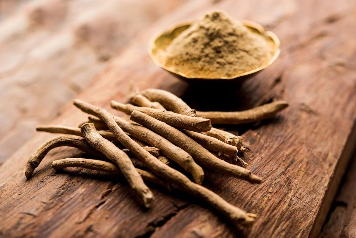 HERB SPOTLIGHT