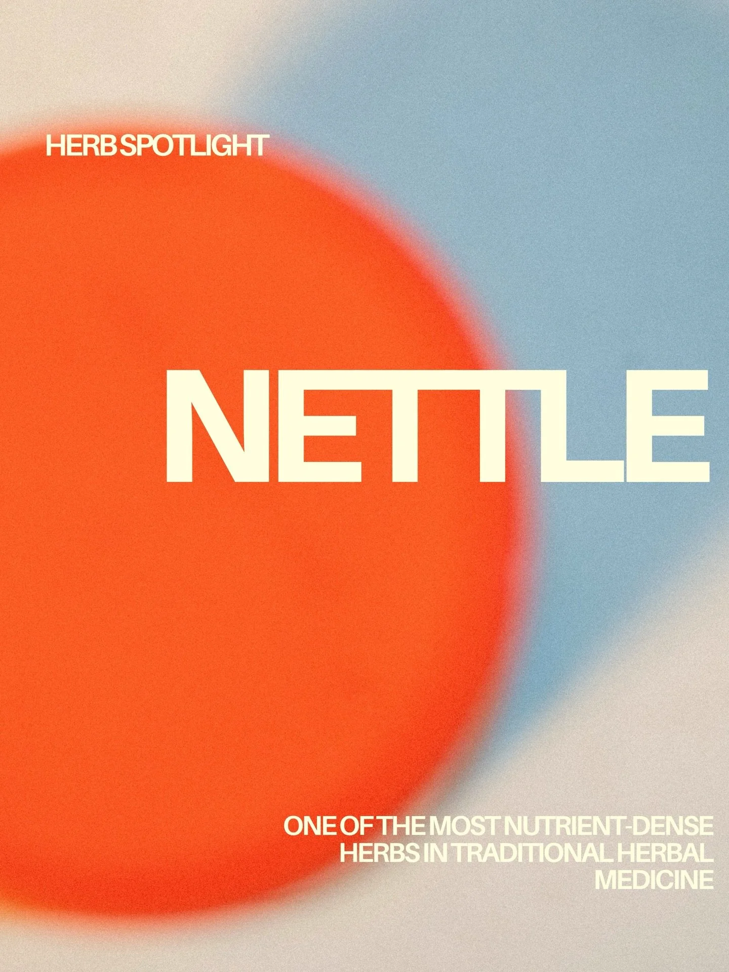 HERB SPOTLIGHT SERIES

Nettle - from building blood, calming inflammation, clearing allergies and nourishing the body at a cellular level, this herb should be in every naturopaths toolkit. 

Food, medicine and spring tonic, it&rsquo;s been quietly do
