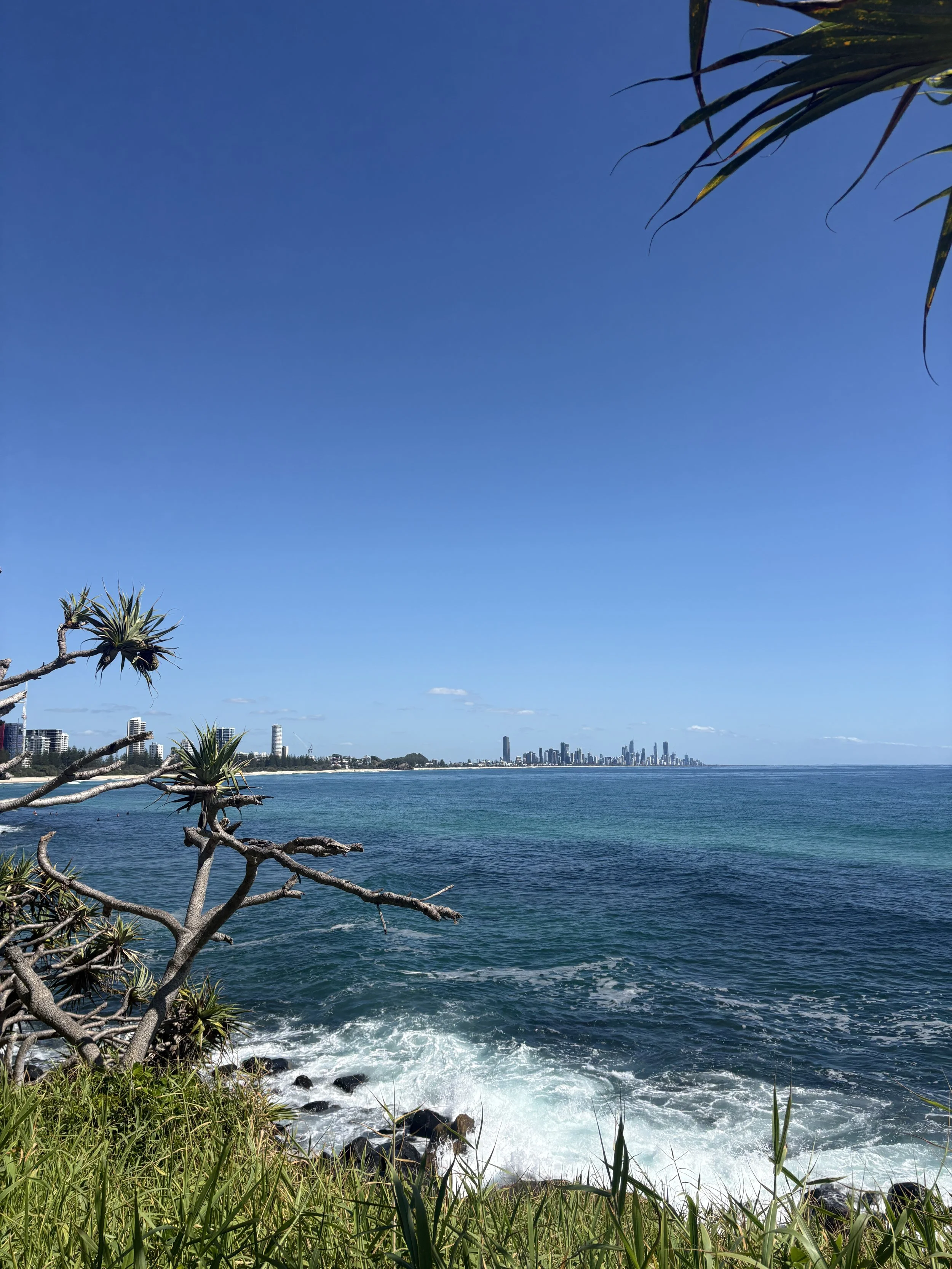 View of the ocean with waves hitting rocks on the shore, a grassy and leafy foreground, and a city skyline in the distance under a clear blue sky.