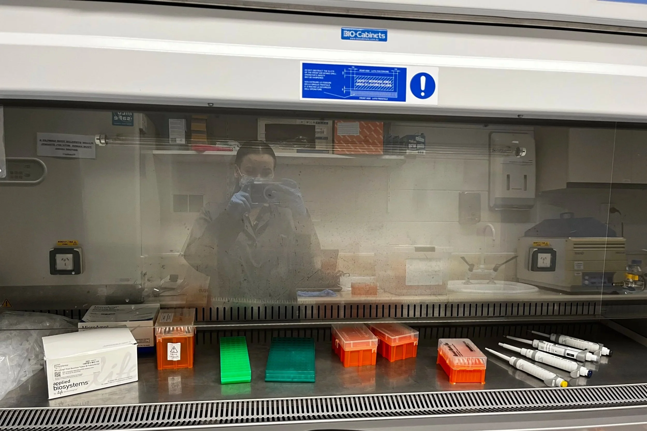 Reflection of a person taking a photo in a laboratory biosafety cabinet with medical supplies and equipment inside.