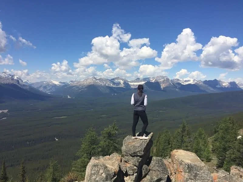 A person standing on a large rock overlooking a mountain landscape with snow-capped peaks, green forests, and a blue sky with white clouds.