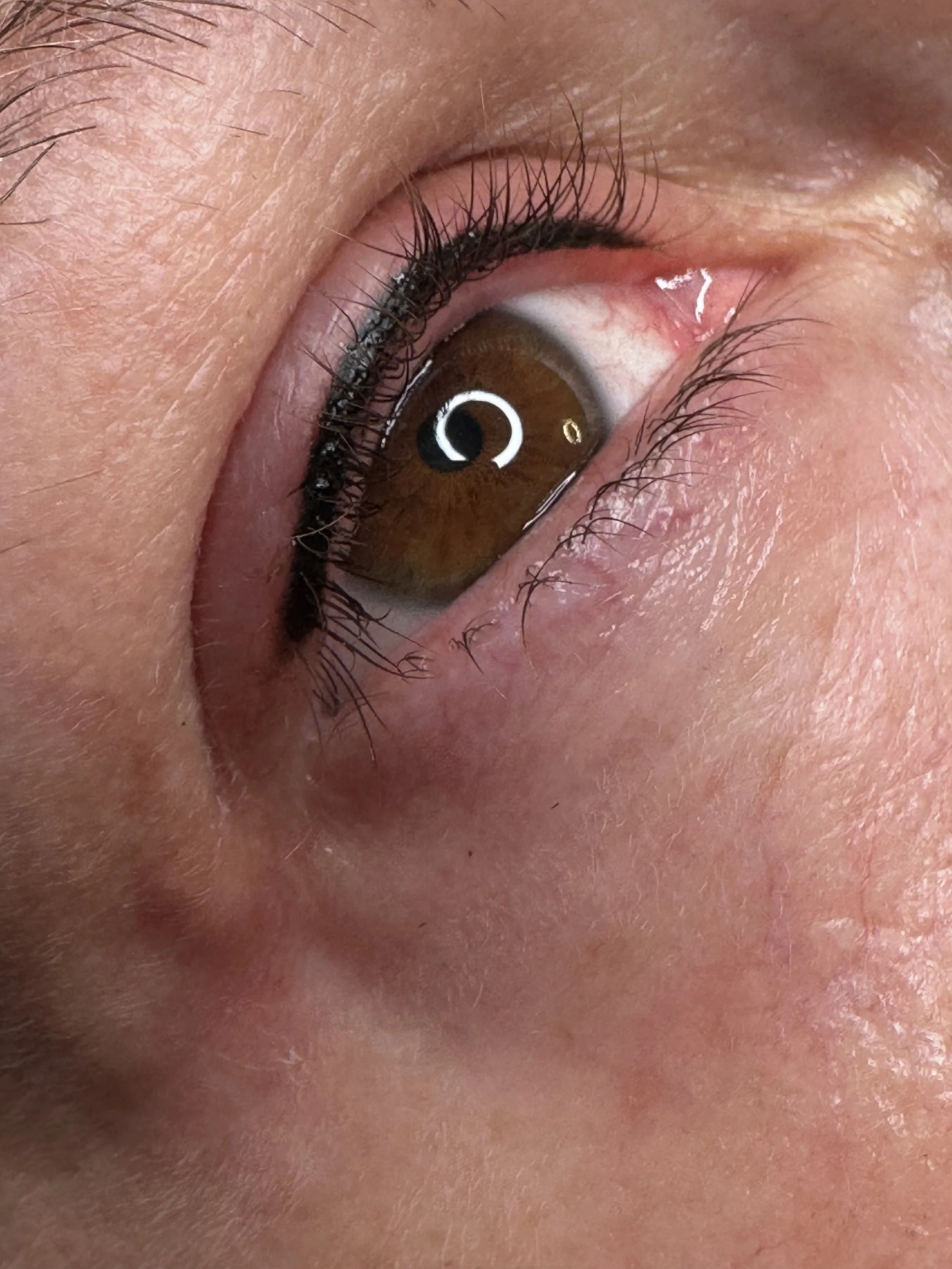 Close-up of a human eye with brown iris, black eyelashes, and pink eyelid with slight redness.