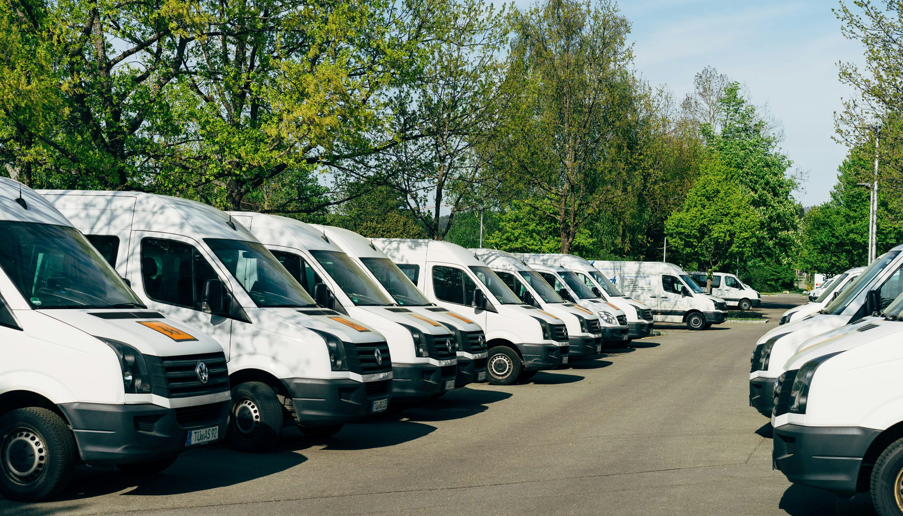 A parking lot filled with white commercial vans parked in rows under green trees on a clear day.