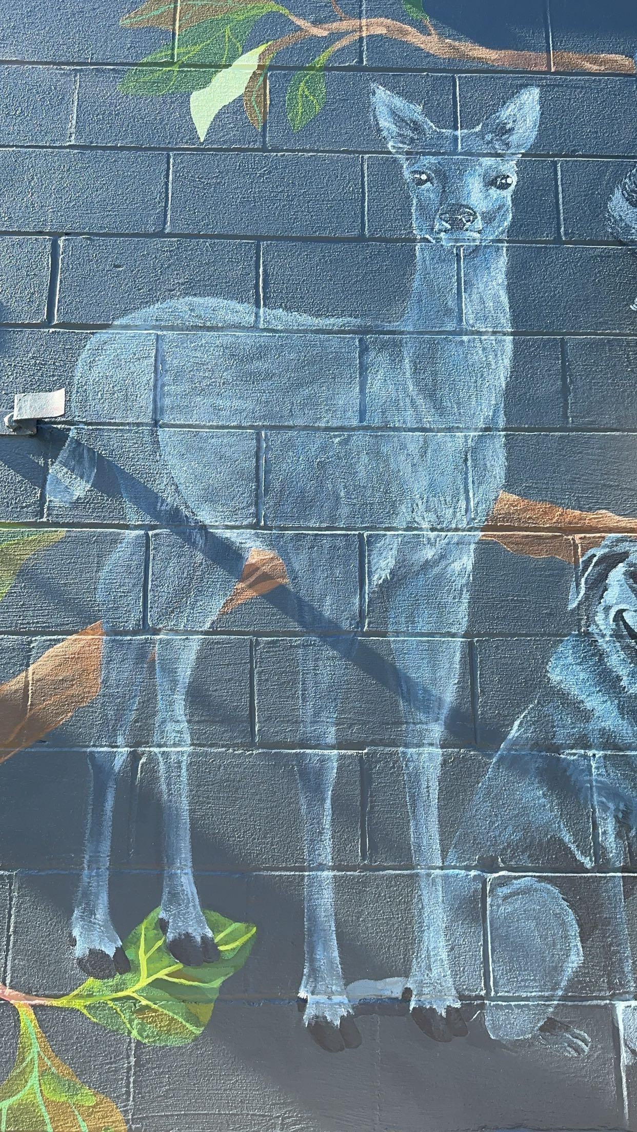 A close-up of the deer painted by Charity. During the closed hours of Alma Bea restaurant, the barn door reveals several animals hidden behind it. 