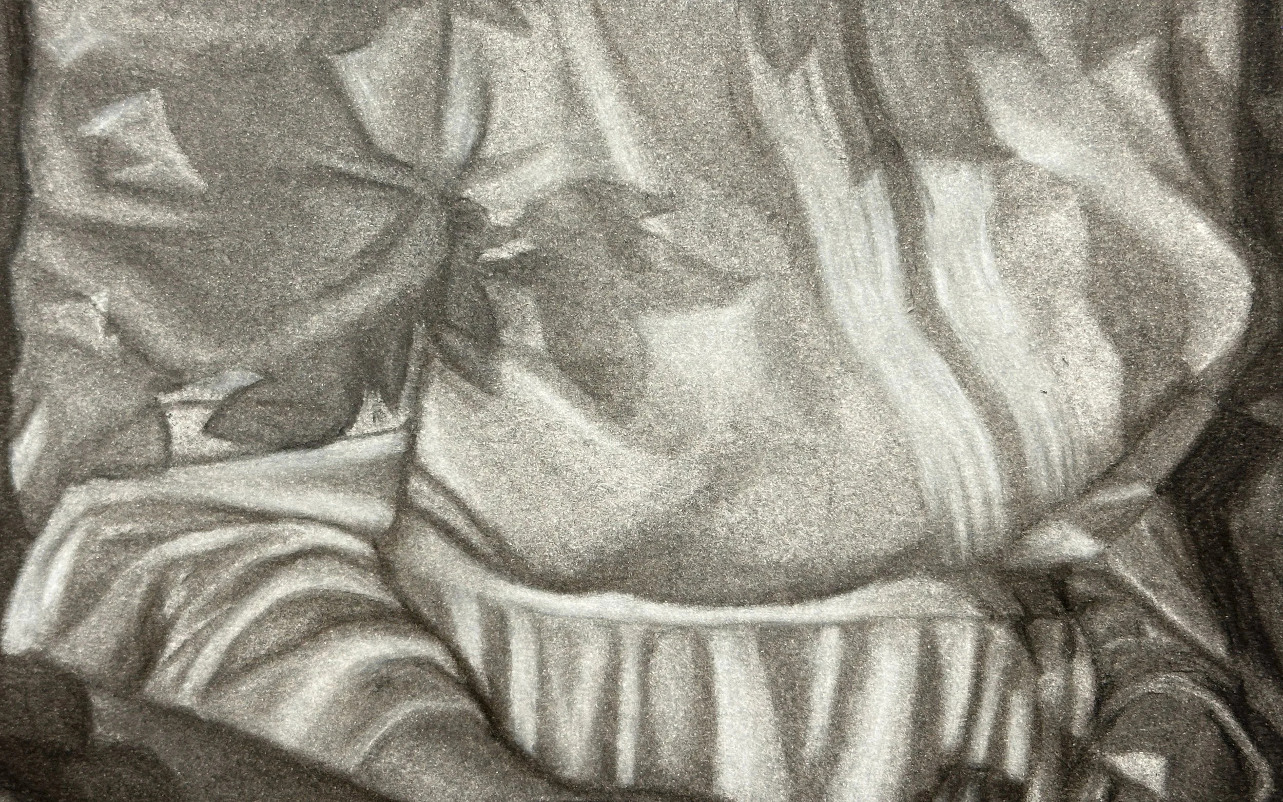 A view of a wedding dress with vines transparently overlayed atop it in the piece, "It's Still the Same."