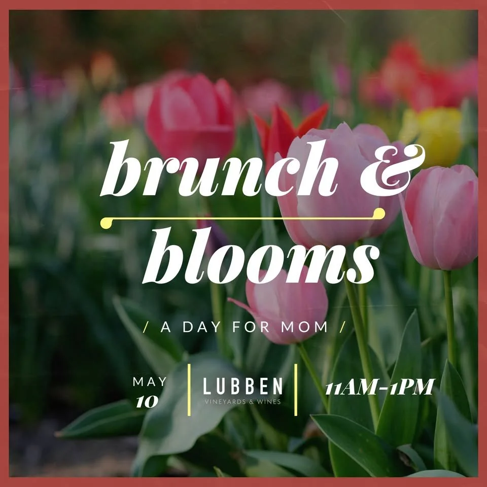 Brunch & Blooms