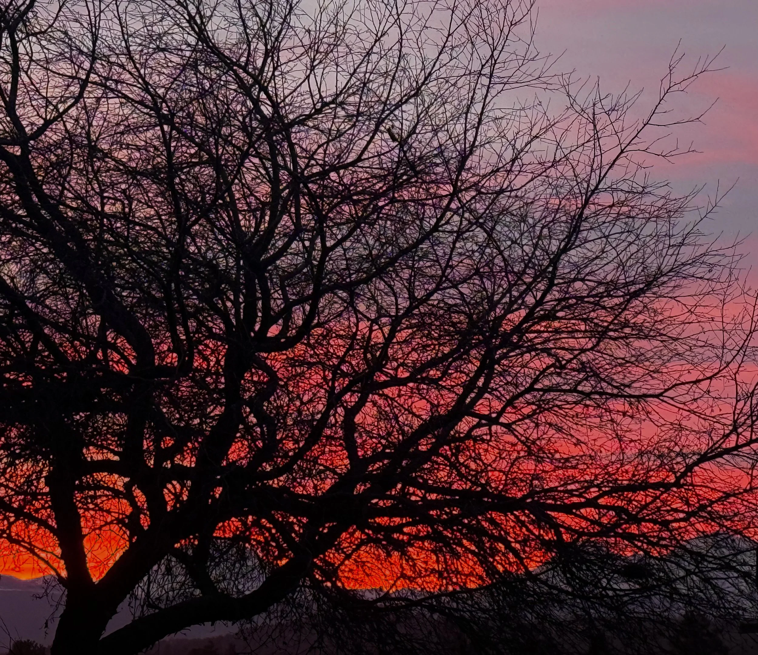 Photo Jan 11 2026, 5 10 34 PM.jpg