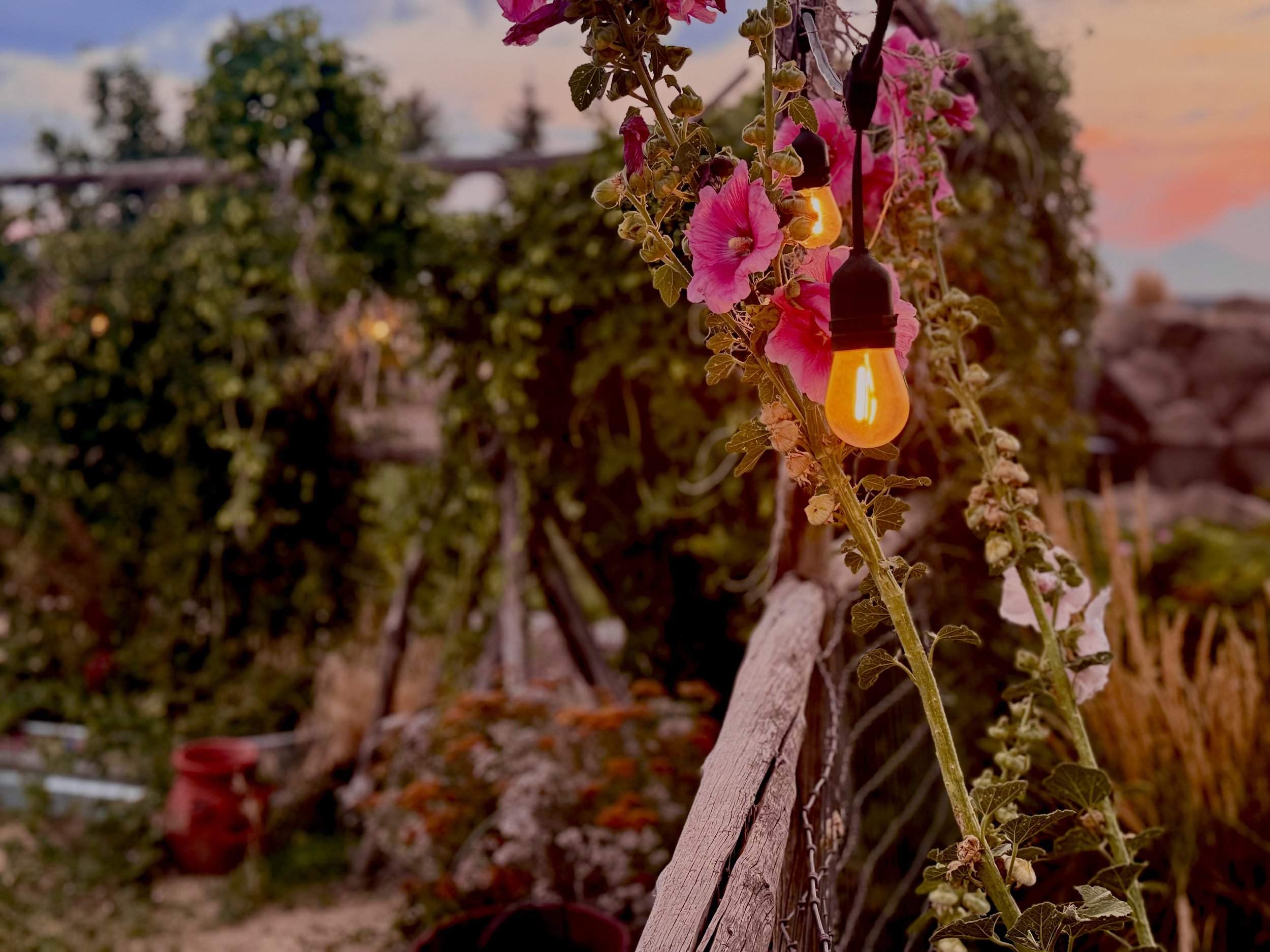 Photo Sep 02 2025, 7 34 35 PM.jpg