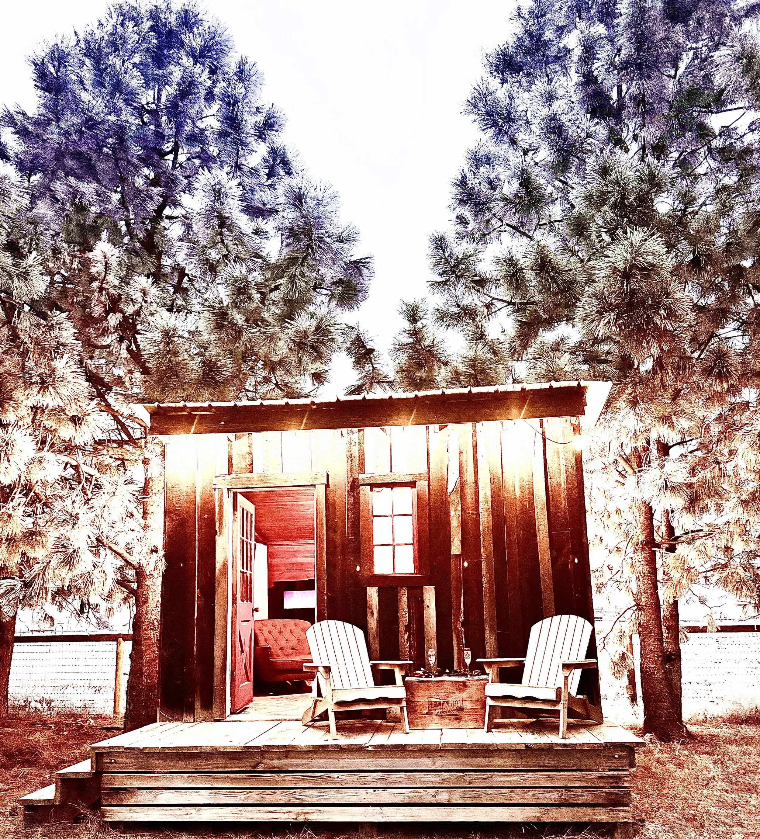 Photo Jan 21 2026, 5 18 14 PM.jpg