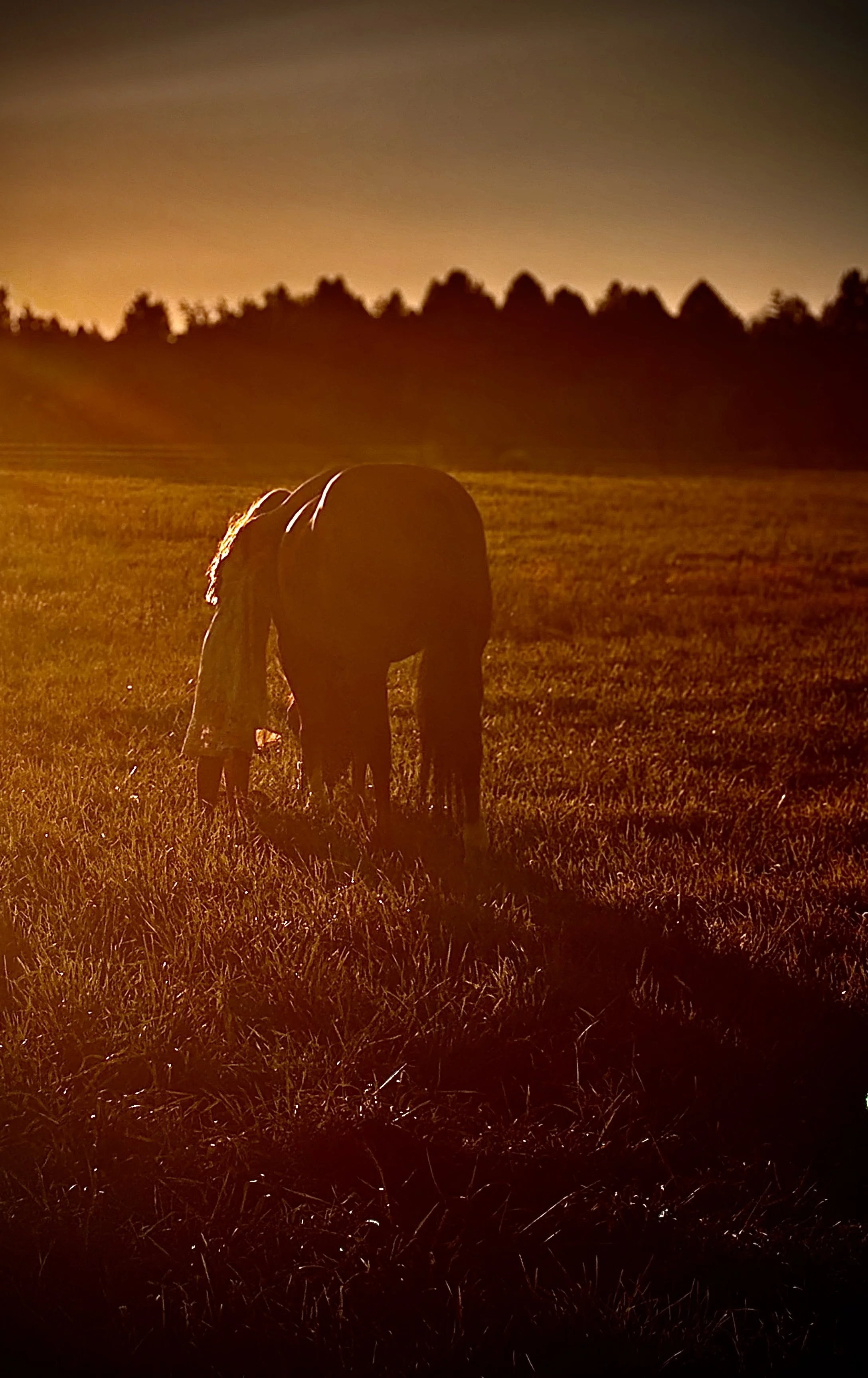 Photo Aug 12 2025, 7 46 28 PM.jpg